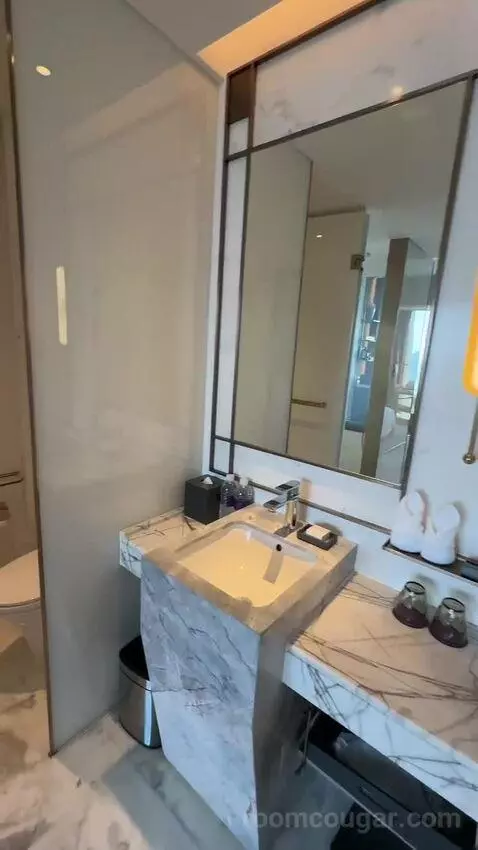 King Deluxe Room (#3702) bathroom picture #5