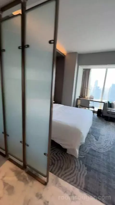 King Deluxe Room (#3702) view picture #8