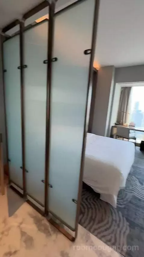 King Deluxe Room (#3702) view picture #9