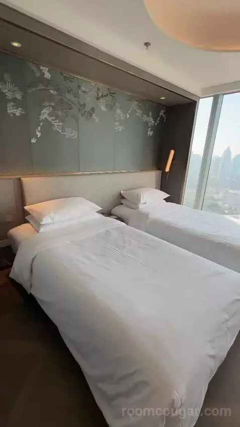 Twin Deluxe Room (#3726) bed picture #3