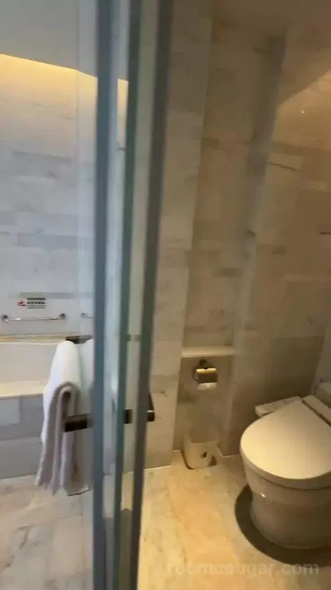 King Executive Room (#4002) bathroom picture #6