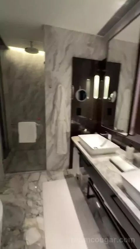 Executive King (#2817) bathroom picture #5
