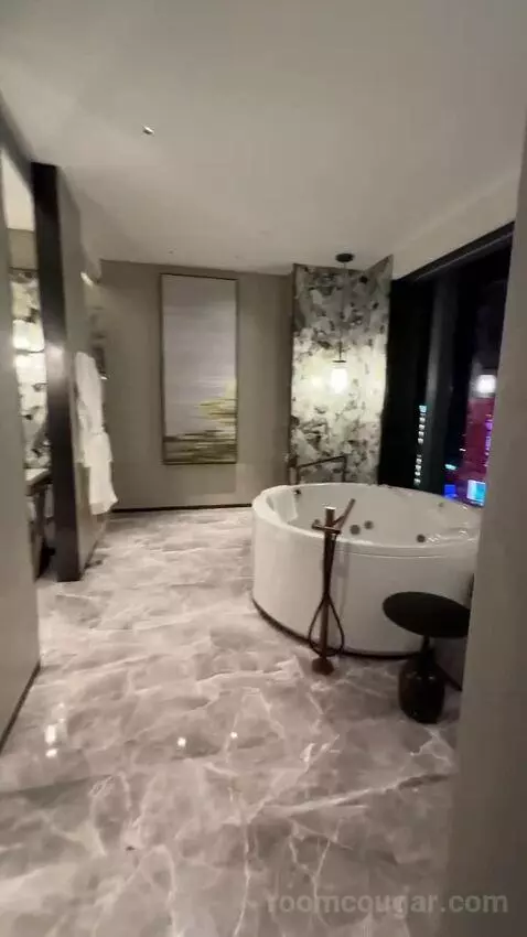 Penthouse bathroom picture #1