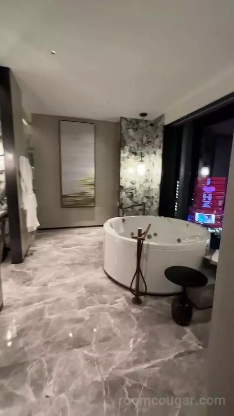 Penthouse bathroom picture #2
