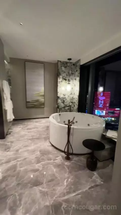 Penthouse bathroom picture #3