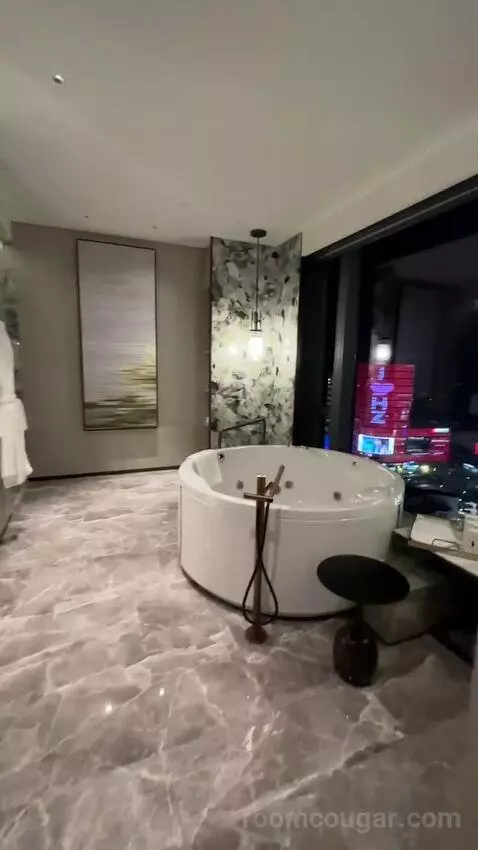 Penthouse bathroom picture #4