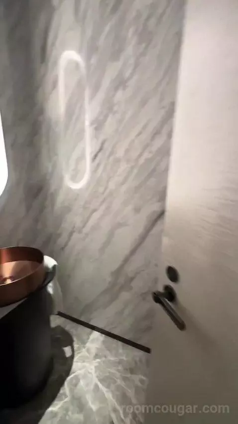 Penthouse bathroom picture #7