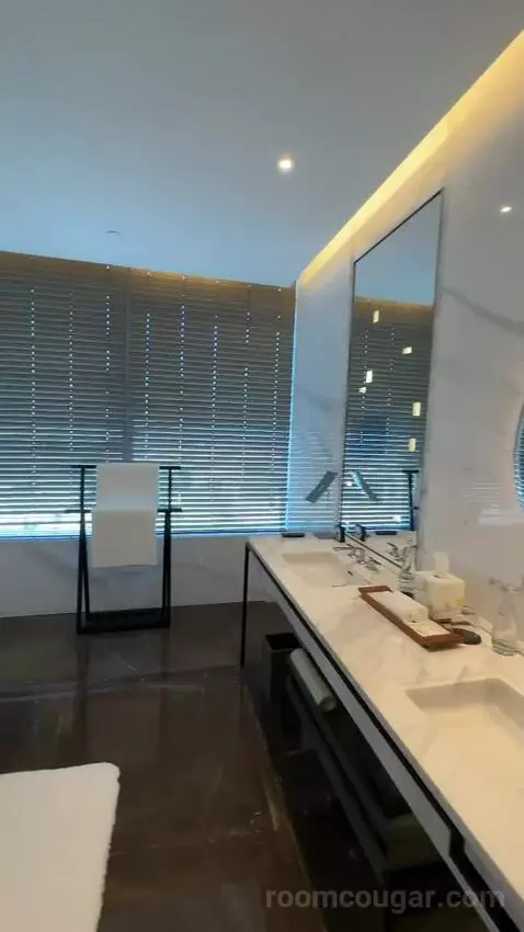 Park Suite bathroom picture #4