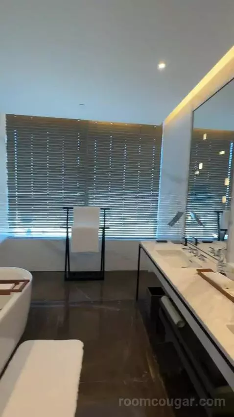 Park Suite bathroom picture #6