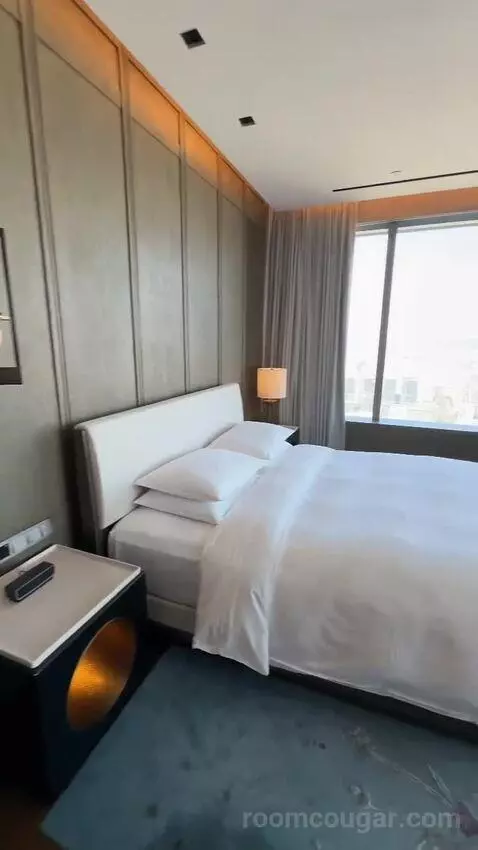 Park Suite bed picture #9