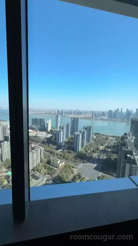 Park Suite view picture #5