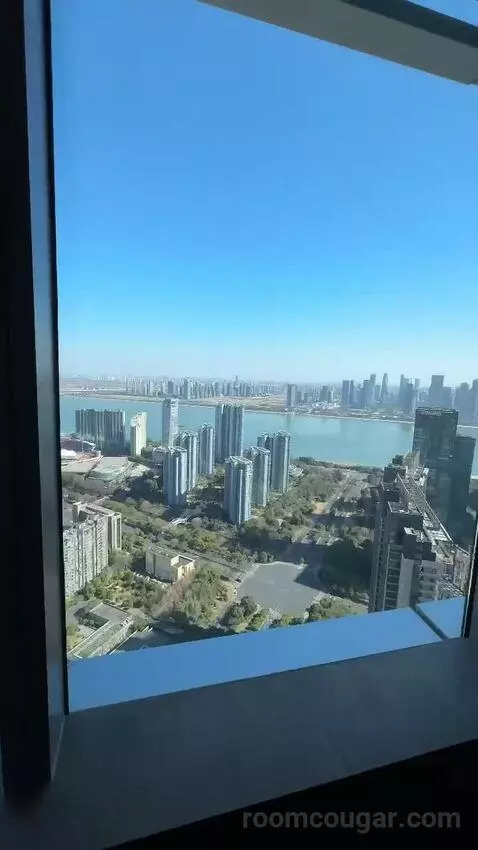 Park Suite view picture #6