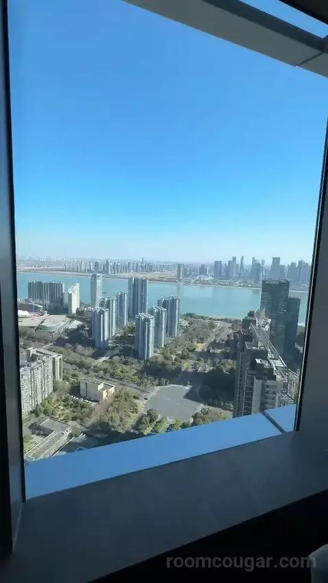 Park Suite view picture #7
