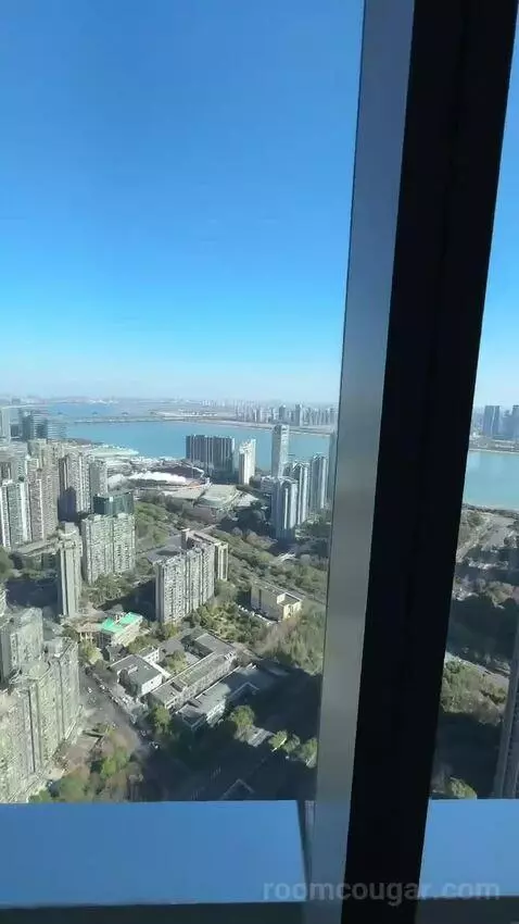 Park Suite view picture #9