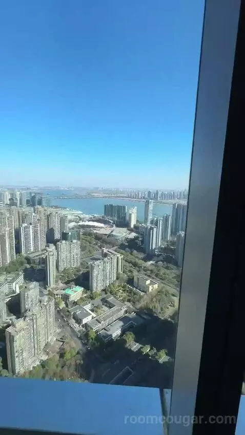 Park Suite view picture #10
