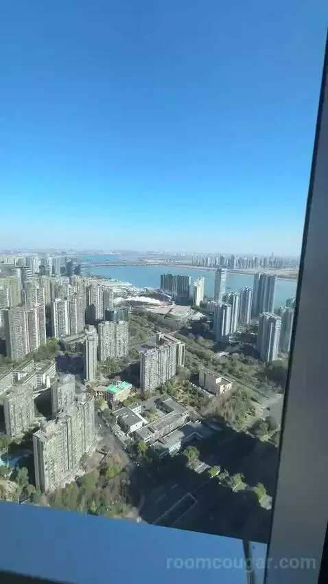 Park Suite view picture #11