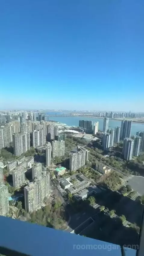 Park Suite view picture #12
