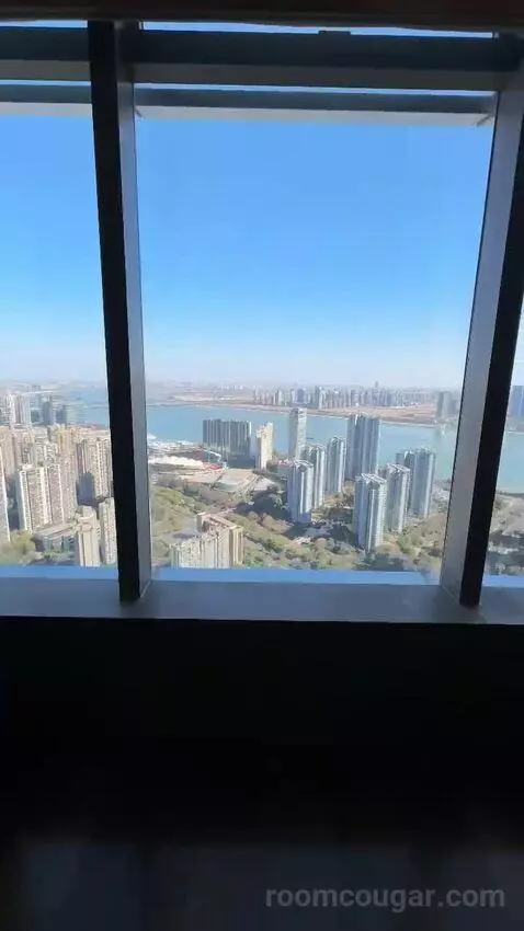 Park Suite view picture #2