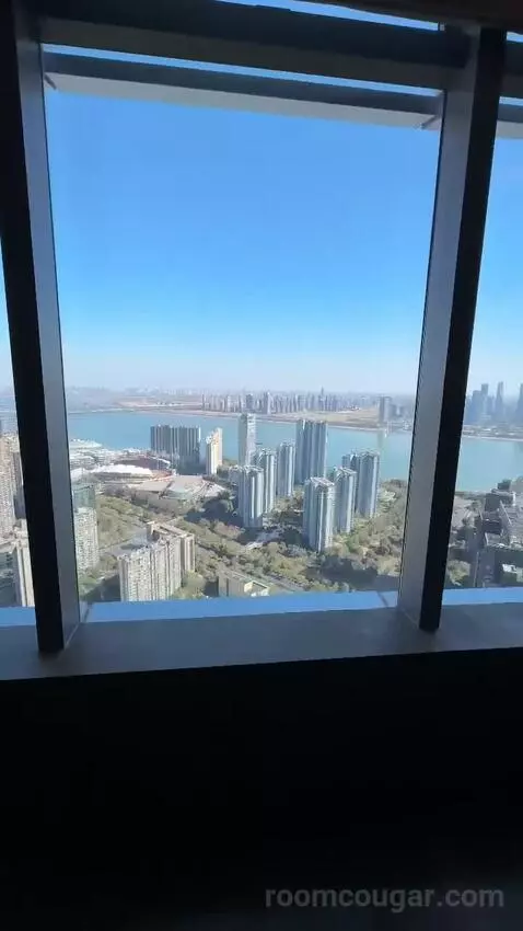 Park Suite view picture #4