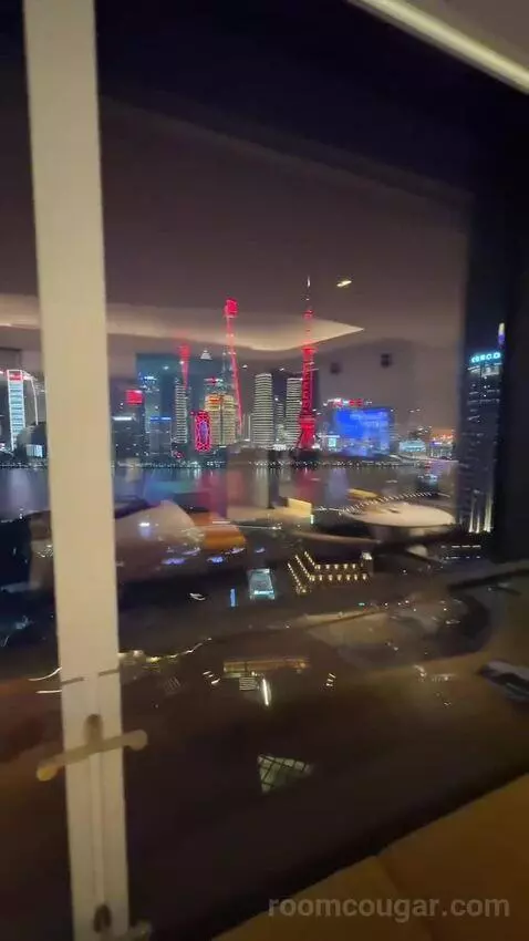 Spectacular Pearl Tower View King view picture #3