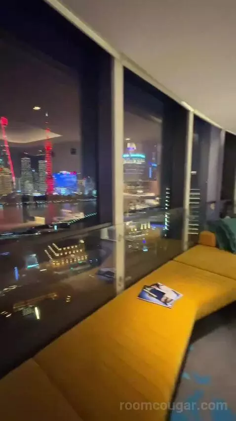 Spectacular Pearl Tower View King view picture #8