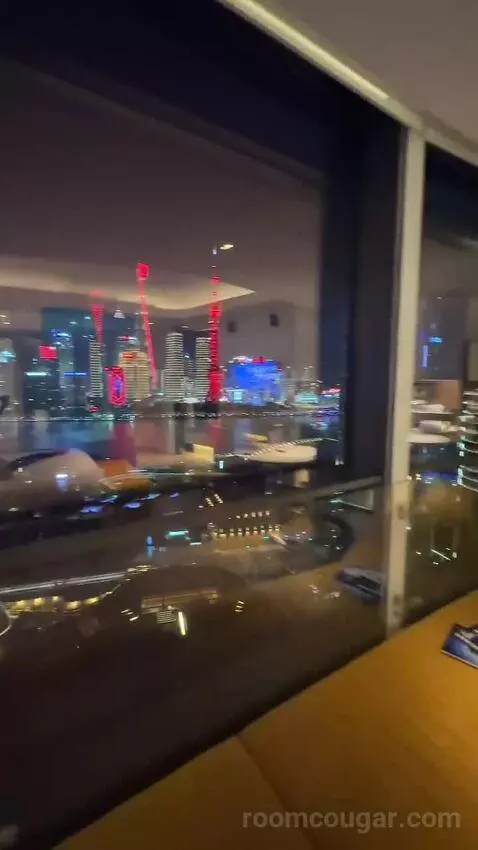 Spectacular Pearl Tower View King picture #11