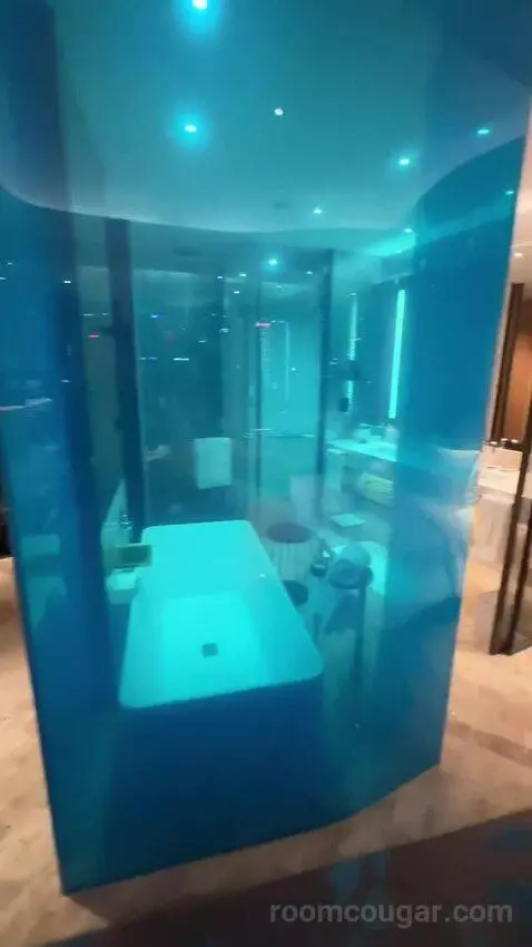 Spectacular Pearl Tower View King bathroom picture #3