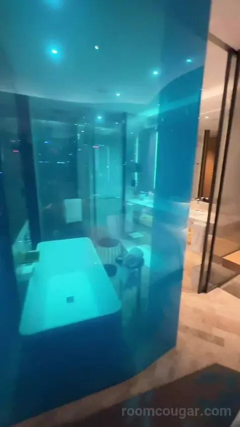 Spectacular Pearl Tower View King bathroom picture #4