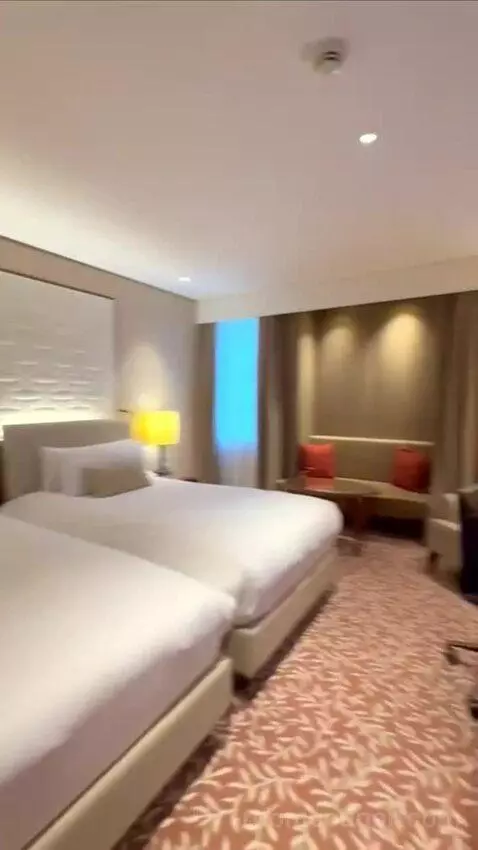gogotravelwithjosh's review preview (The Ritz-Carlton, Vienna)