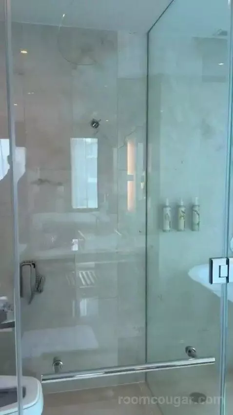 Studio Suite, 1 Bedroom Suite, 1 King bathroom picture #5
