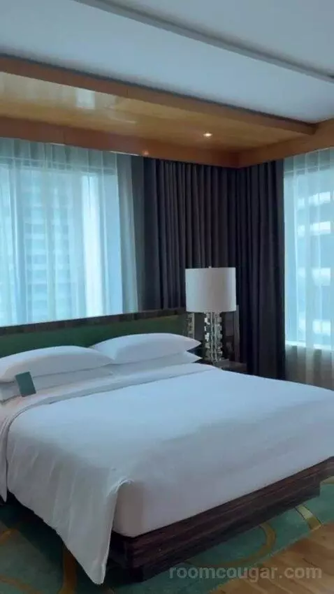 Studio Suite, 1 Bedroom Suite, 1 King bed picture #7