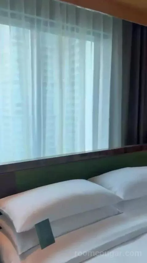 Studio Suite, 1 Bedroom Suite, 1 King bed picture #11