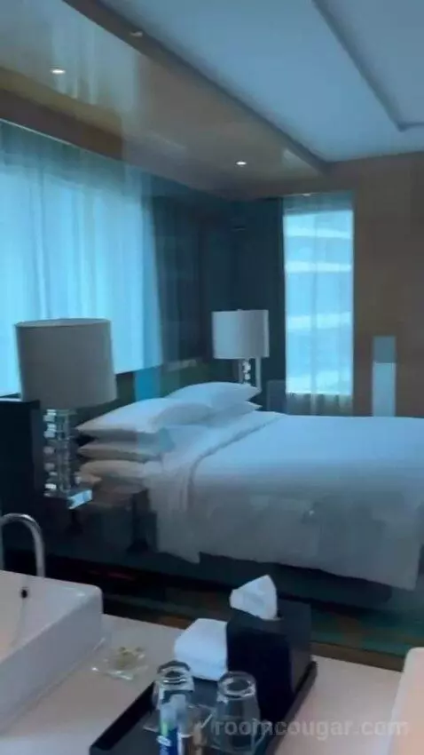 Studio Suite, 1 Bedroom Suite, 1 King bed picture #2