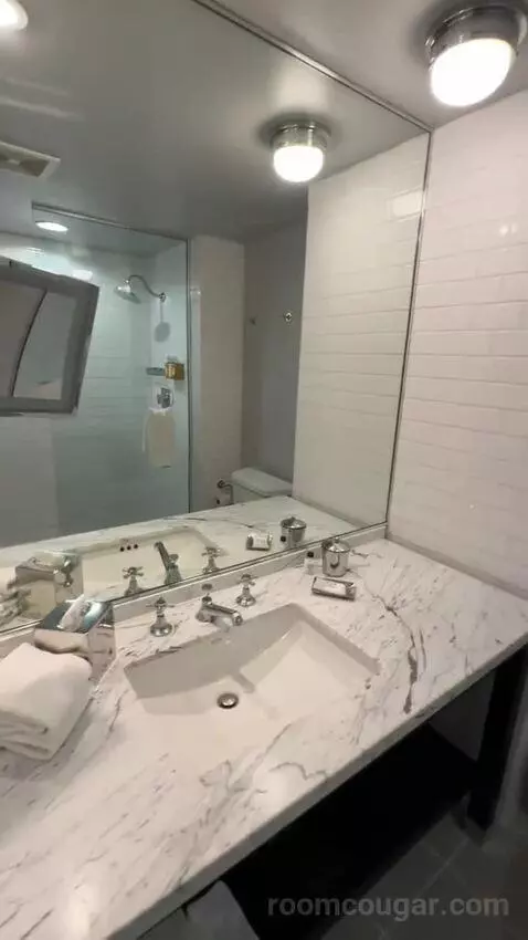 Standard King Room (#506) bathroom picture #1