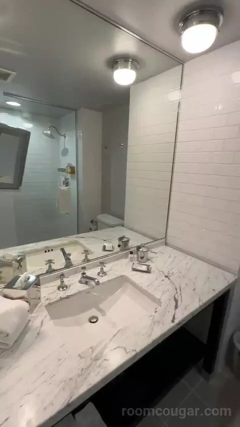 Standard King Room (#506) bathroom picture #2