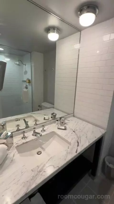 Standard King Room (#506) bathroom picture #3
