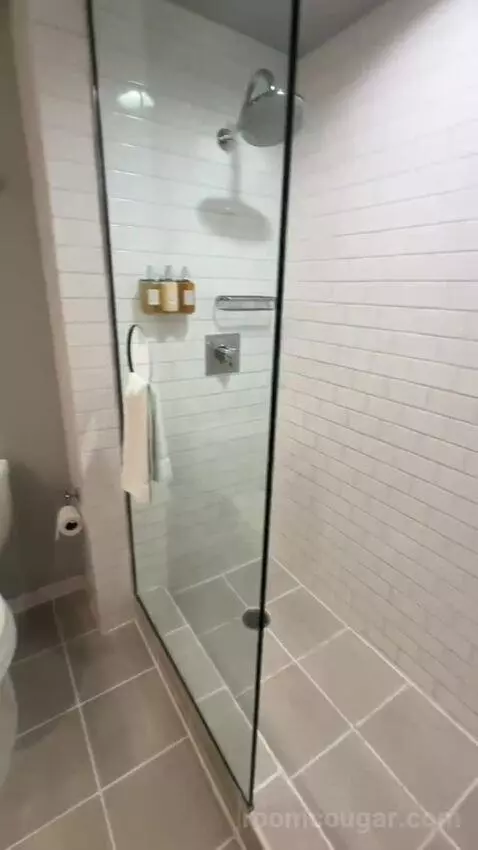 Standard King Room (#506) bathroom picture #4