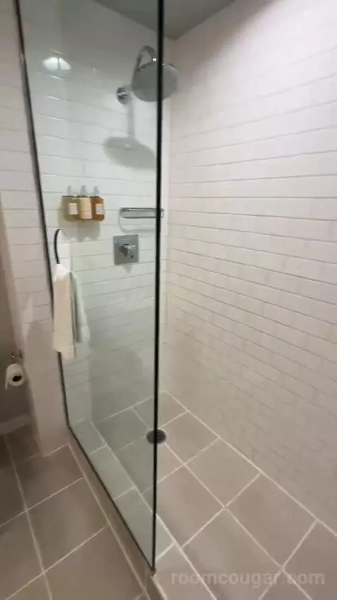 Standard King Room (#506) bathroom picture #5