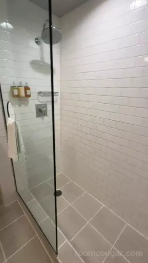 Standard King Room (#506) bathroom picture #6