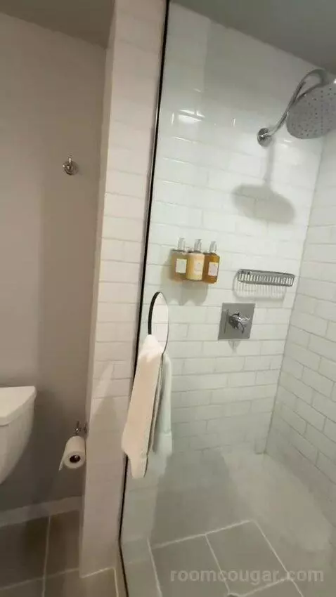 Standard King Room (#506) bathroom picture #8