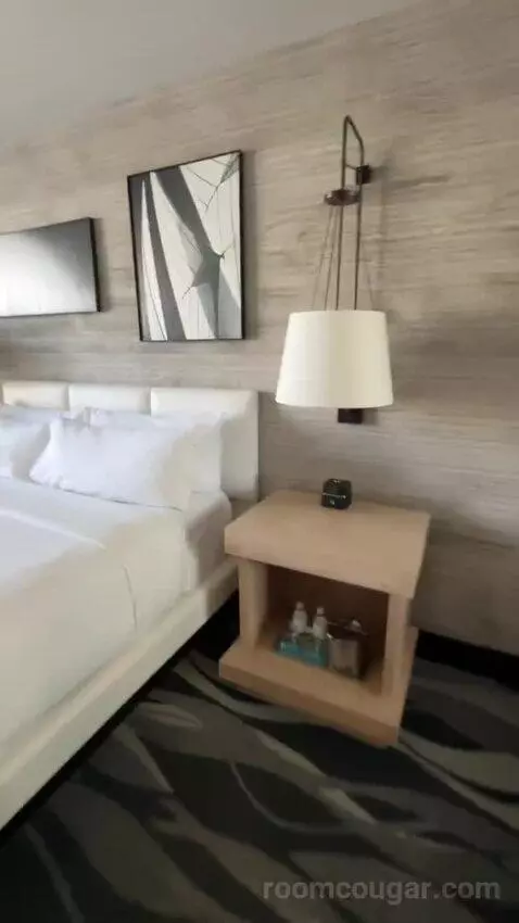 Standard King Room (#506) bed picture #1