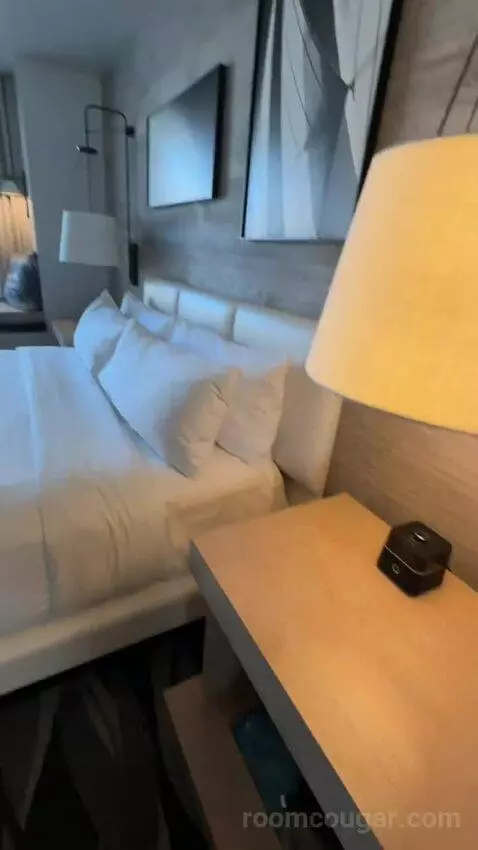 Standard King Room (#506) bed picture #6