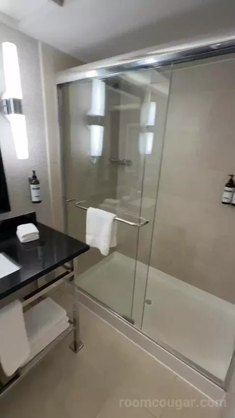 King Room with Marina View (#607) bathroom picture #1