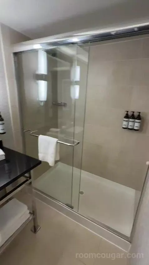 King Room with Marina View (#607) bathroom picture #2