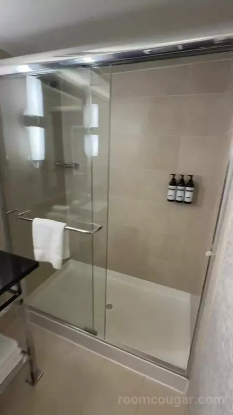 King Room with Marina View (#607) bathroom picture #3