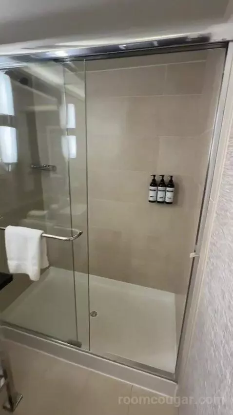 King Room with Marina View (#607) bathroom picture #4