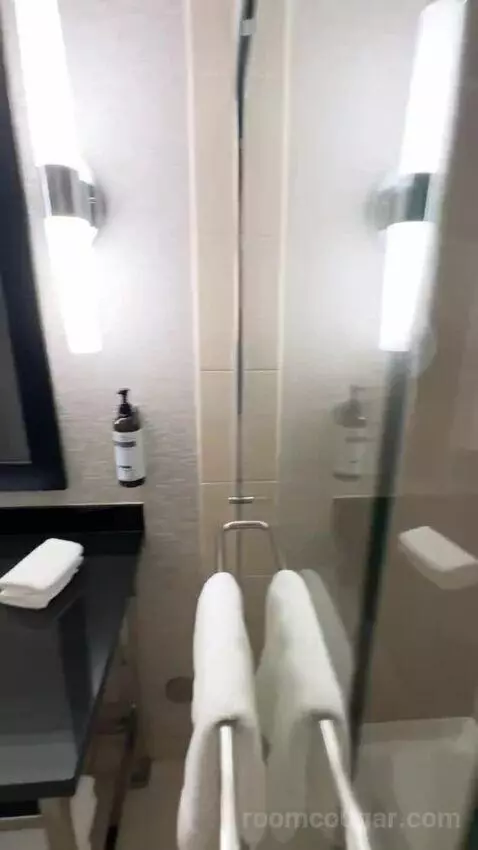 King Room with Marina View (#607) bathroom picture #7