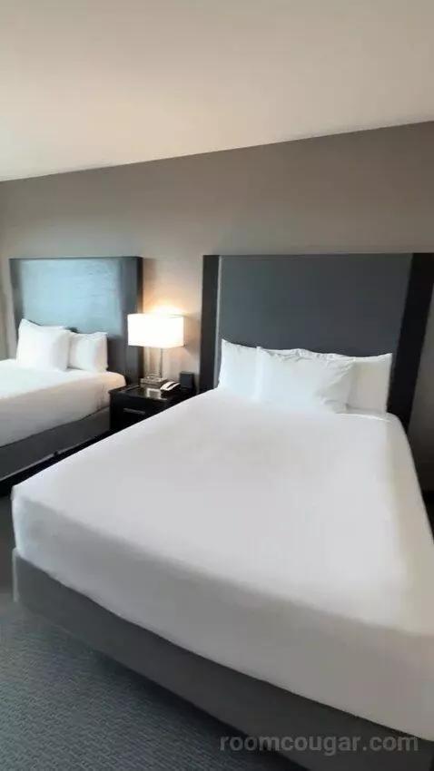 Queen Room with Two Queen Beds (#1433) bed picture #2