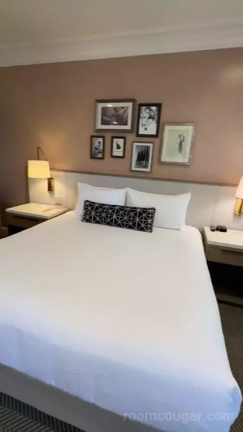 Classic King Junior Suite (#903) bed picture #5