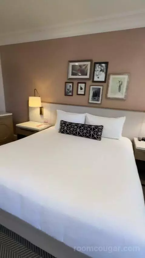 Classic King Junior Suite (#903) bed picture #6